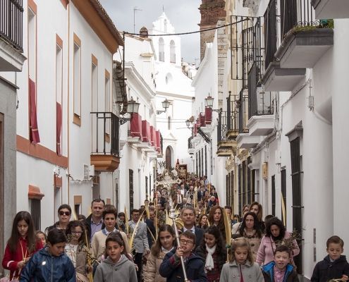 procesion de las palmas jerez de los caballeros domingo de ramos 17 Procesión oficial de las Palmas 2016 - Galería de fotos