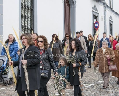 procesion de las palmas jerez de los caballeros domingo de ramos 5 Procesión oficial de las Palmas 2016 - Galería de fotos