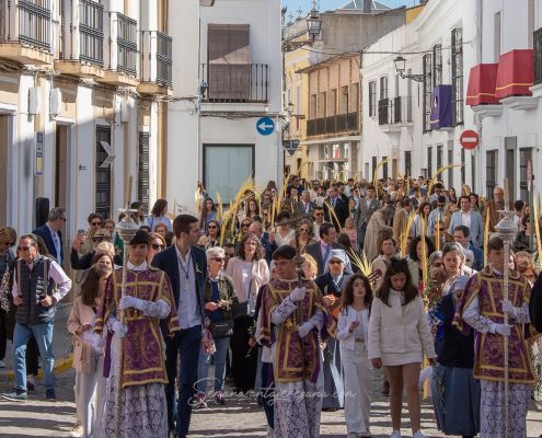Procesión de las Palmas. Domingo de Ramos en la Semana Santa de Jerez de los Caballeros 2 Procesión de las Palmas. Domingo de Ramos en la Semana Santa de Jerez de los Caballeros Semanasantajerezana