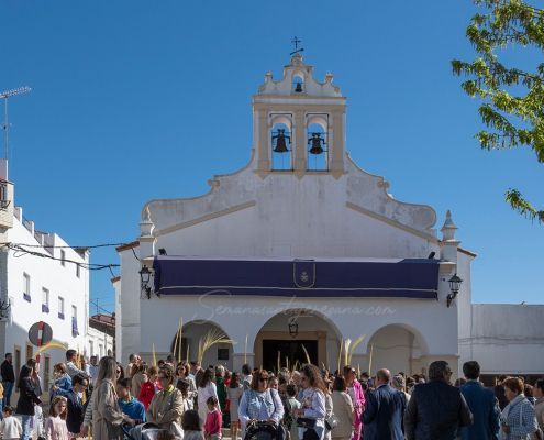 Procesión de las Palmas. Domingo de Ramos en la Semana Santa de Jerez de los Caballeros Procesión de las Palmas. Domingo de Ramos en la Semana Santa de Jerez de los Caballeros Semanasantajerezana