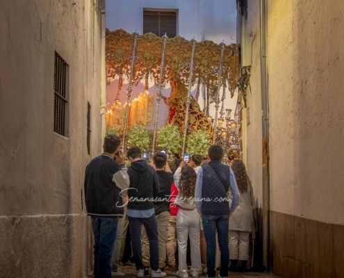 Domingo de Ramos 2025 en Jerez de los Caballeros Ntra Sra del Rosario semanasantajerezana Domingo de Ramos 2025 en la Semana Santa de Jerez de los Caballeros. Ntra Sra del Rosario. semanasantajerezana