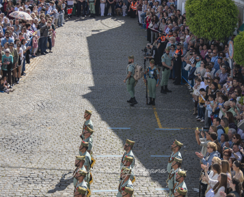 La Legion en Jerez de los Caballeros Domingo de Ramos 2025 Fuente Caballos Semanasantajerezana La Legion en Jerez de los Caballeros Domingo de Ramos 2025 Fuente Caballos Semanasantajerezana