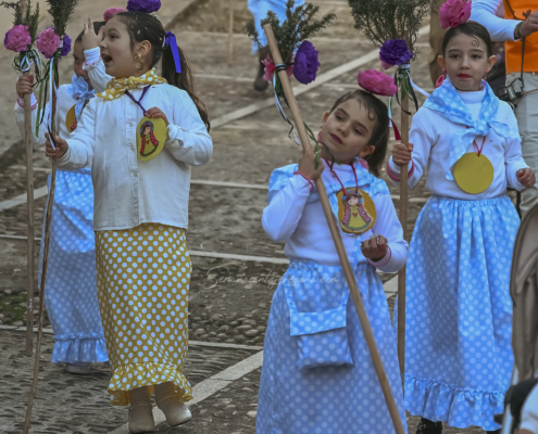 Desfile del Carnaval 2026 Jerez de los Caballeros Semanasantajerezana (31) Desfile de Carnaval 2026 Jerez de los Caballeros Semanasantajerezana